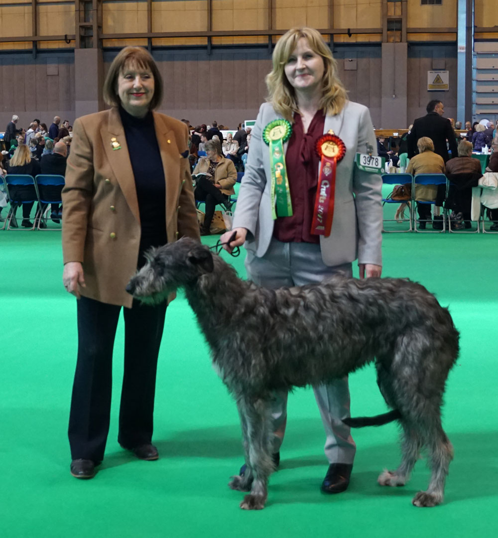 Best Puppu Crufts 2017